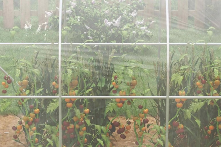 Lushmere Greenhouse