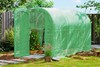 Lushmere Greenhouse