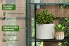 Sunspire Greenhouse