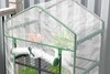 Bloomveil Greenhouse