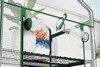 Bloomveil Greenhouse