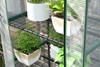 Bloomveil Greenhouse