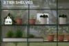 Verdora Greenhouse