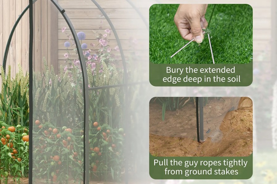 Astralune Greenhouse