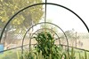 Astralune Greenhouse