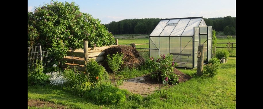 The Ultimate Guide to Buying a Greenhouse in the UK