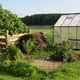 The Ultimate Guide to Buying a Greenhouse in the UK