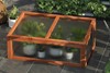 Willowcrest Greenhouse