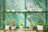 Dawnvale Greenhouse