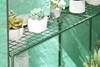 Dawnvale Greenhouse
