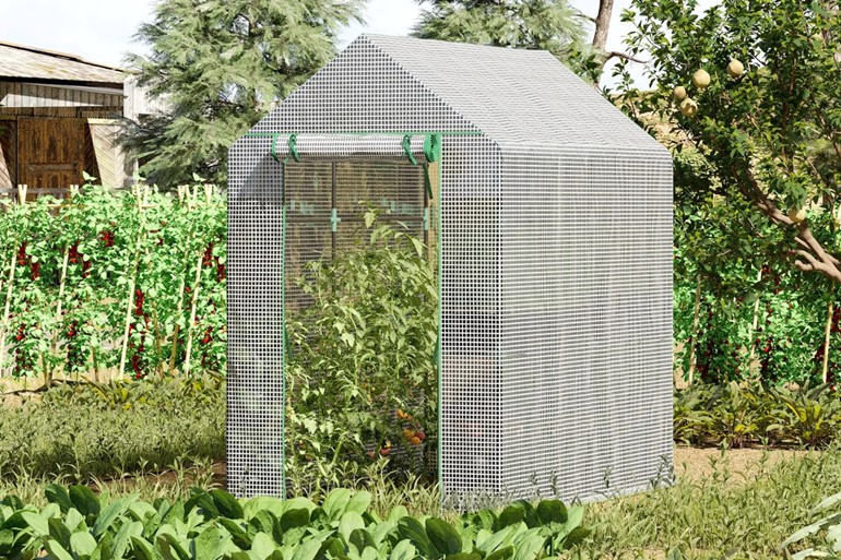 Dawnvale Greenhouse