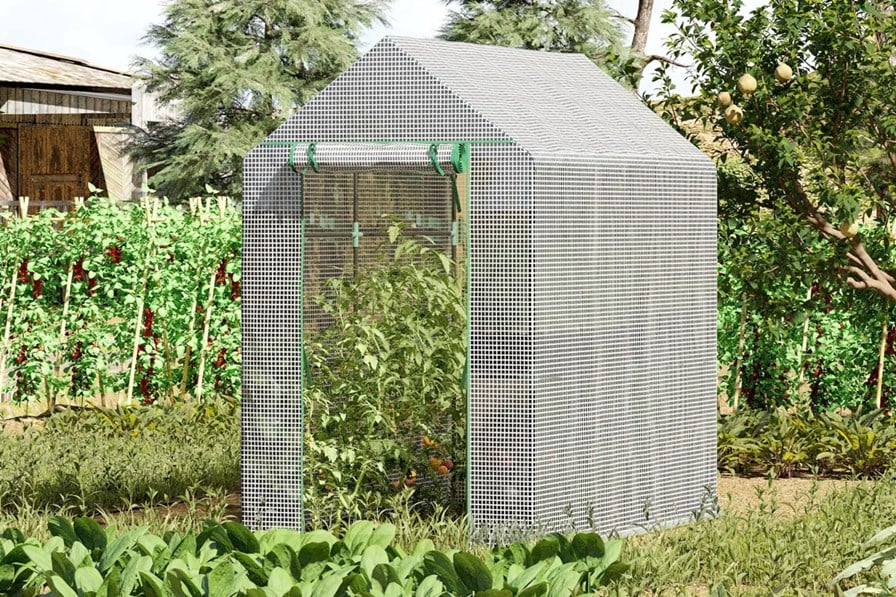Dawnvale Greenhouse
