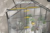 Silverbrook Greenhouse