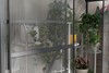 Silverbrook Greenhouse