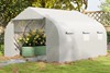 Cloudstone Greenhouse