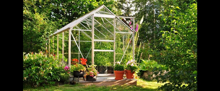 Glass vs Polycarbonate Greenhouses: Which Is Better?