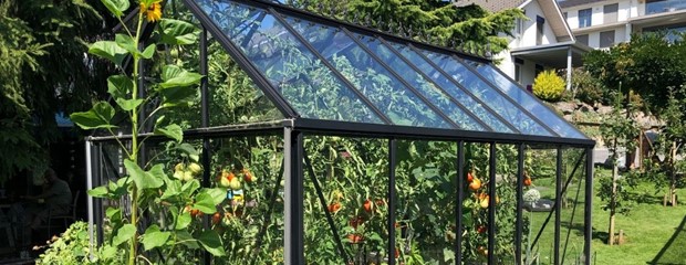 How to Position Your Greenhouse for Maximum Sunlight