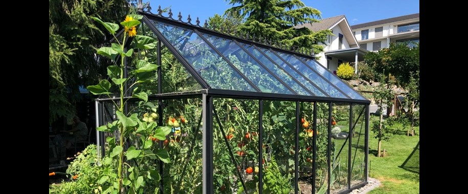 How to Position Your Greenhouse for Maximum Sunlight