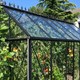 How to Position Your Greenhouse for Maximum Sunlight