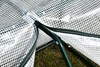 Icevale Greenhouse