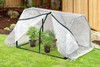 Icevale Greenhouse