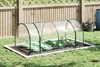 Stormshade Greenhouse