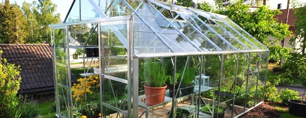 How Greenhouses Work: The Science Behind It