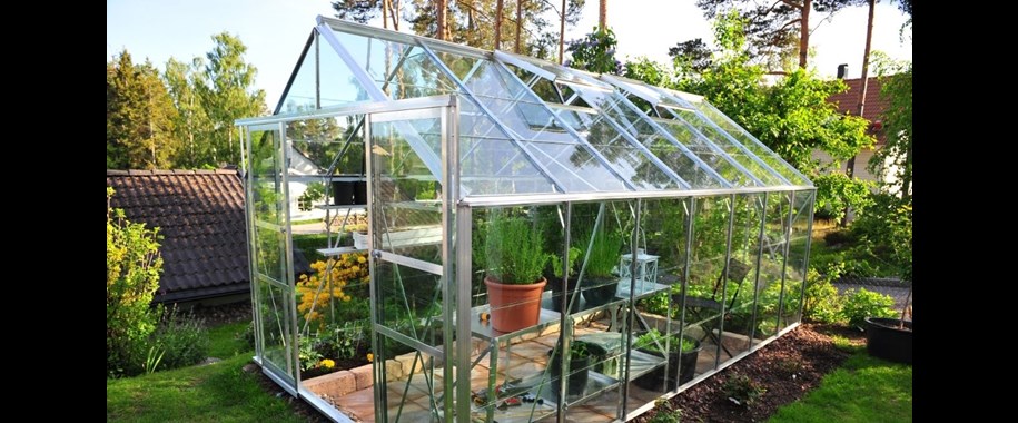 How Greenhouses Work: The Science Behind It